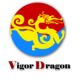 Logo Foshan Vigor Dragon Door Co.,Ltd