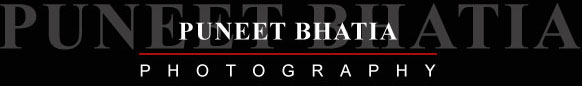 Logo Puneet Bhatia