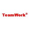 Logo TEAMWORK INTERNATIONAL CORPORATION