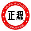 Logo LiNong Vegetable Seeds