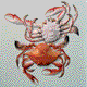 Crabs