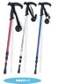 nordic trekking pole