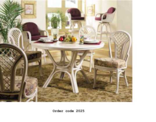 Rattan furniture