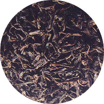 OPA Black Tea