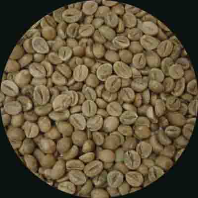 Green Coffee Beans