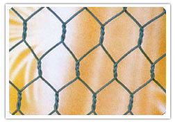 Hexagonal wire mesh