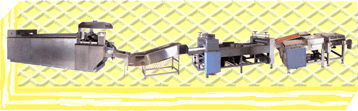 Wafer Machine Production Line