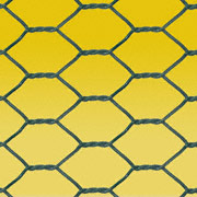 Hexaginal Wire Netting