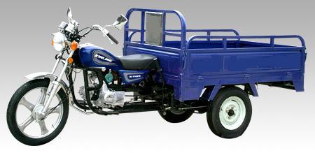 Tricycle 110ZH