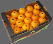 Navel Orange Citrus Fruit