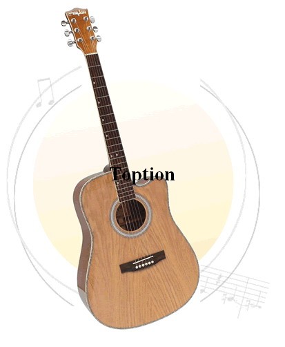 Acoustic Guitar Tp413c