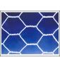 Hexagonal wire mesh