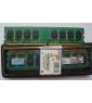 SDRAM/DDR/DDR2 Memory Module.