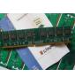  DDR/DDR2 Memory Module. 1GB.