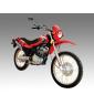 Dirt Bike (VX200GY-4)