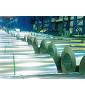 cold rolled galvanized sheet