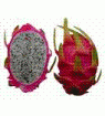 Dragon Fruit