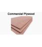 commercial plywood