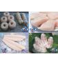 Frozen Pangasius fillet