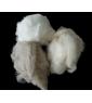 dehaired cashmere fibre