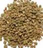 Celery seed P.E.