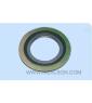 spiral wound gasket