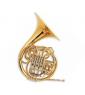 French Horn