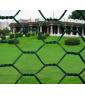 Hexagonal Wire Mesh