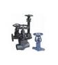 Forged steel globe valve