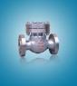 SS  Check valve