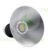 LED Highbay Fixtures-GK515-100