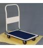 Platform hand truck 