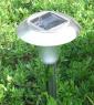 Solar Lawn Light 