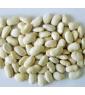 White kidney beans