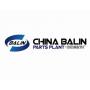 Logo Balin group limited