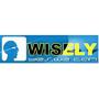 Logo Wisely Laser Machinery Limited