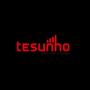 Logo Quanzhou Tesunho Electronics Co., Ltd