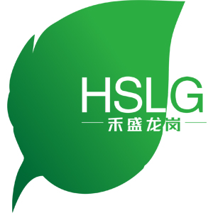 Logo Chongqing Hesheng Longgang Technology Co., Ltd.