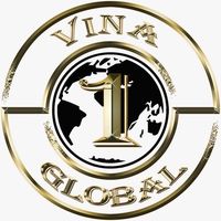 Logo Vina One Global