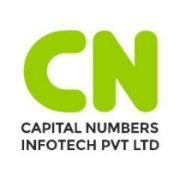 Logo Capital Numbers Infotech Pvt. Ltd.