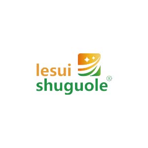 Logo Lesui(Shanghai) Industrial Co., Ltd