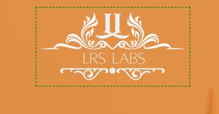 Logo LRS Labs