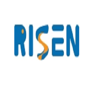 Logo RISEN Amusement Equipment Co.,Ltd 