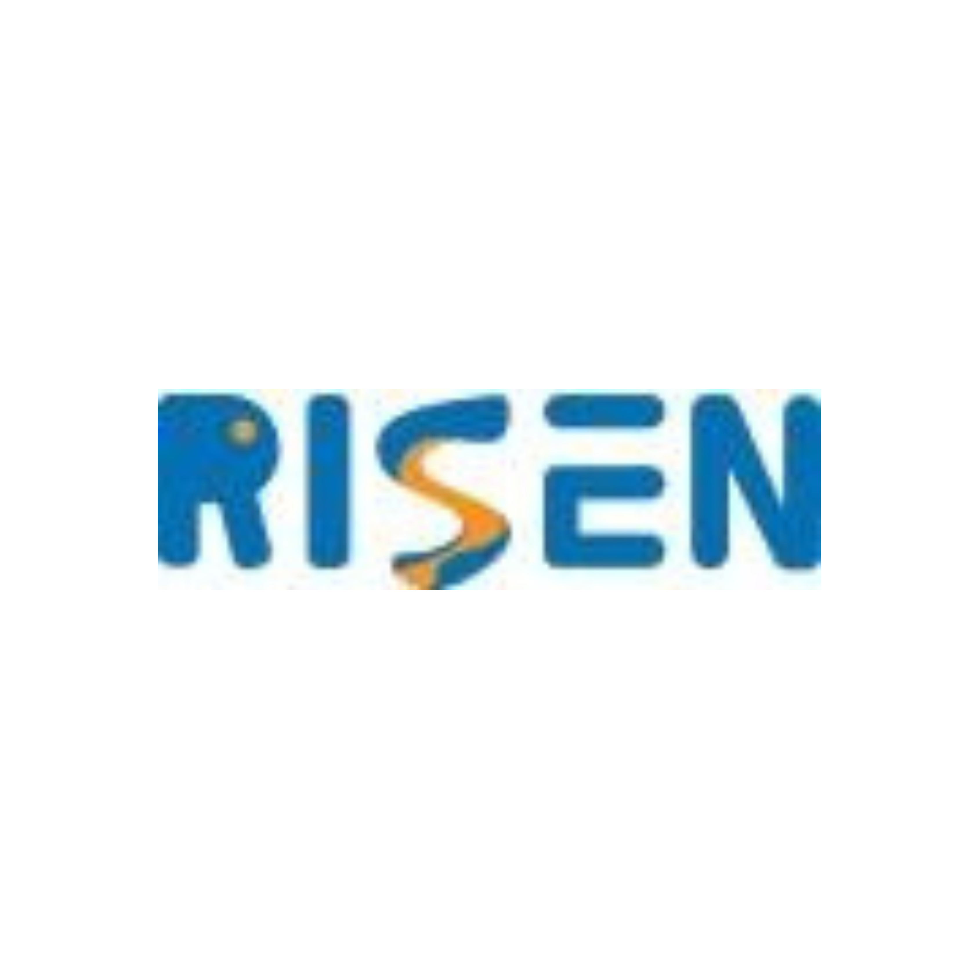 Logo Wenzhou Risen Amusement Equipment Co., Ltd