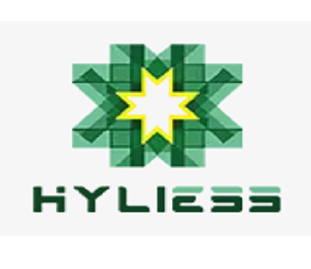 Logo Hunan Hyliess New Energy Technology Co. LTD