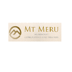 Logo Mt Meru Consultants