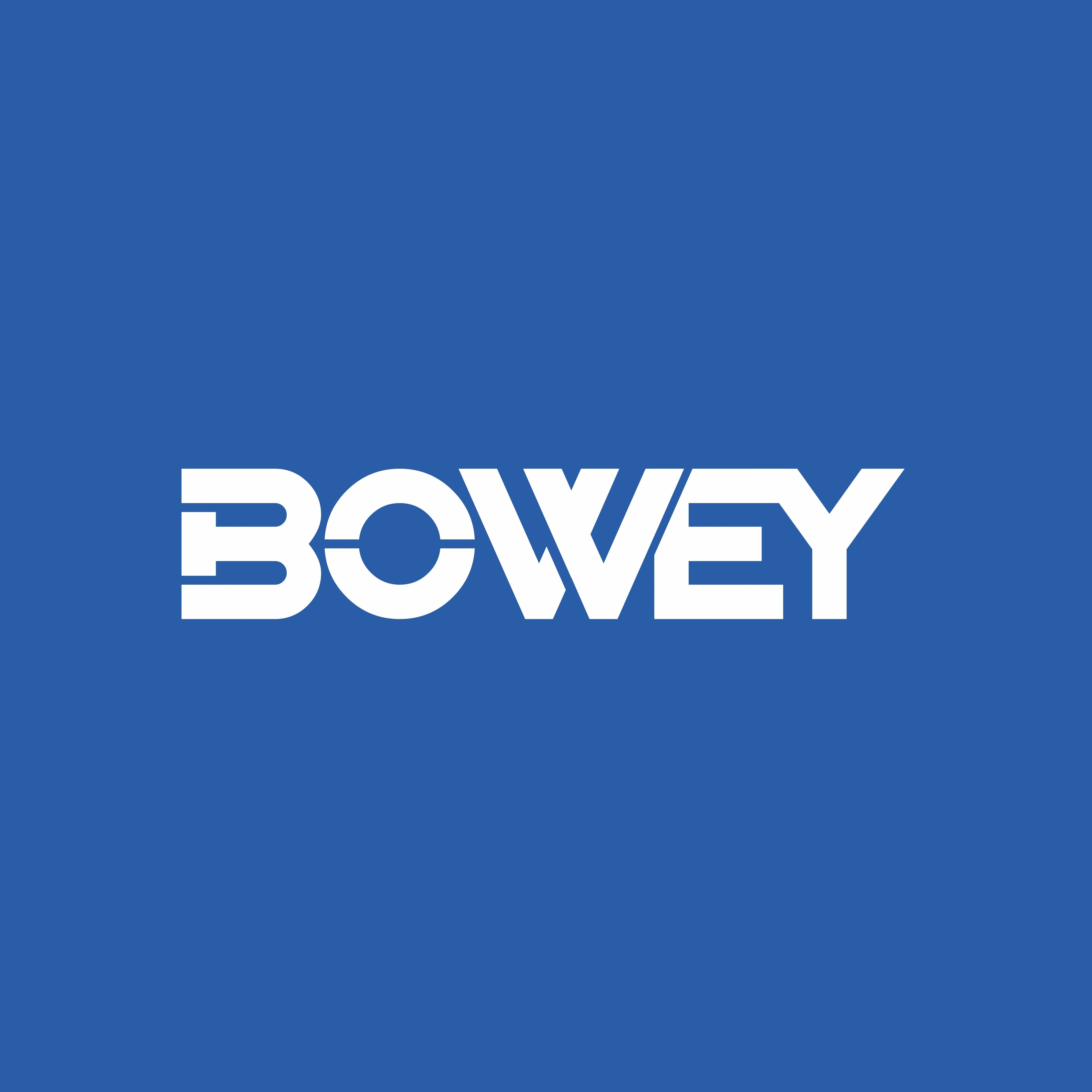 Logo Henan Bowey Machinery Equipment Co., Ltd.