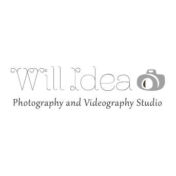 Logo Willidea