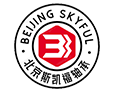 Logo Beijing Skyford Bearing Trading Co., Ltd