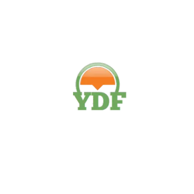 Logo HEBI YIDAFENG INDUSTRIAL CO., LTD